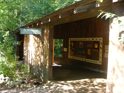 Ecotone Mammal Exhibit