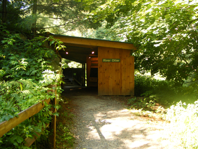 River Otter Exhibit