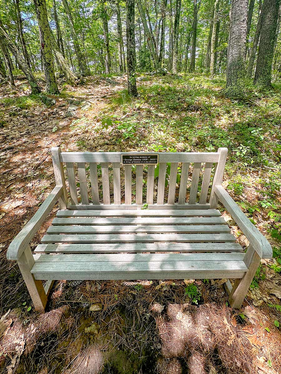 A sample bench, dedicated to Mr George Gurney