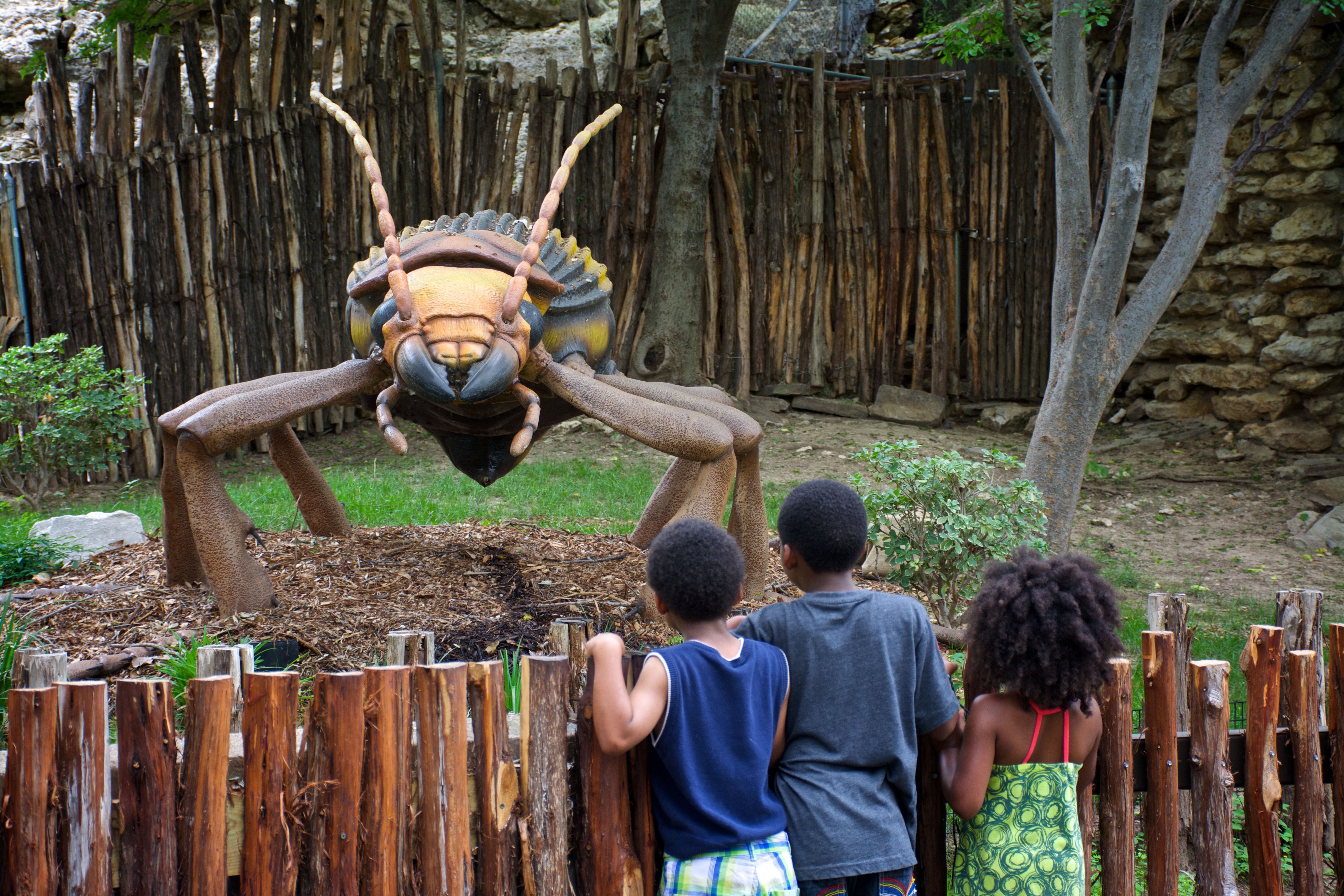Children looking at giant bombardier beetle