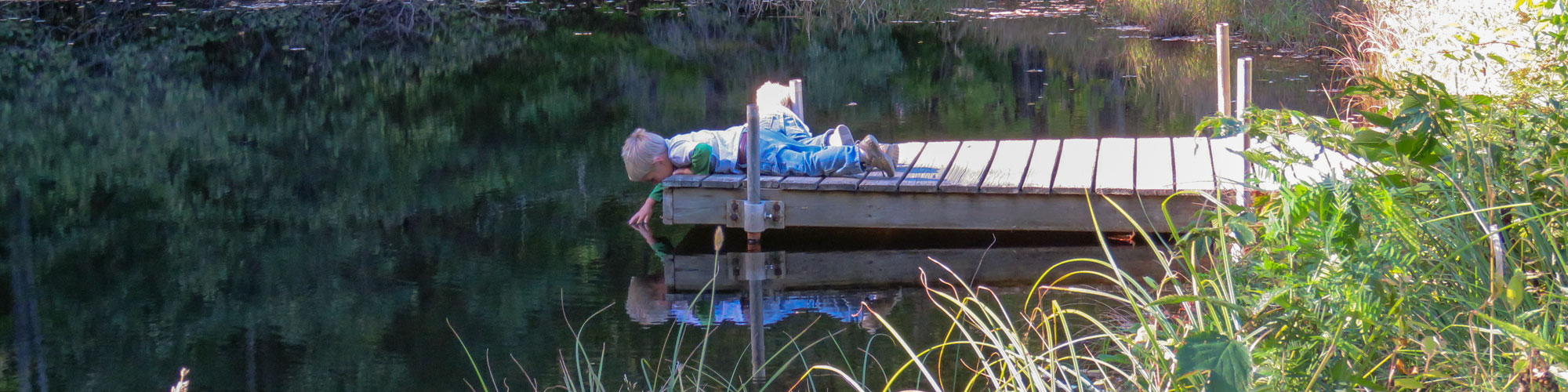 Children laying on dock looking down at water at Upper Pond