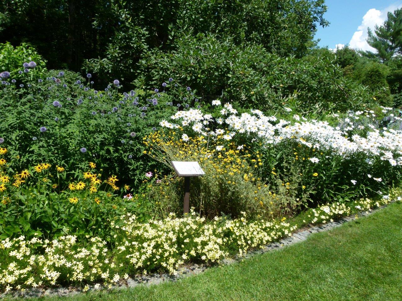 Kirkwood Gardens in bloom