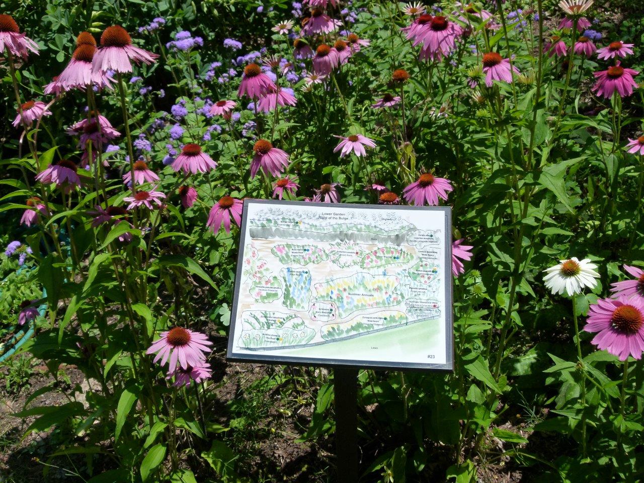 Kirkwood Gardens Plant location map