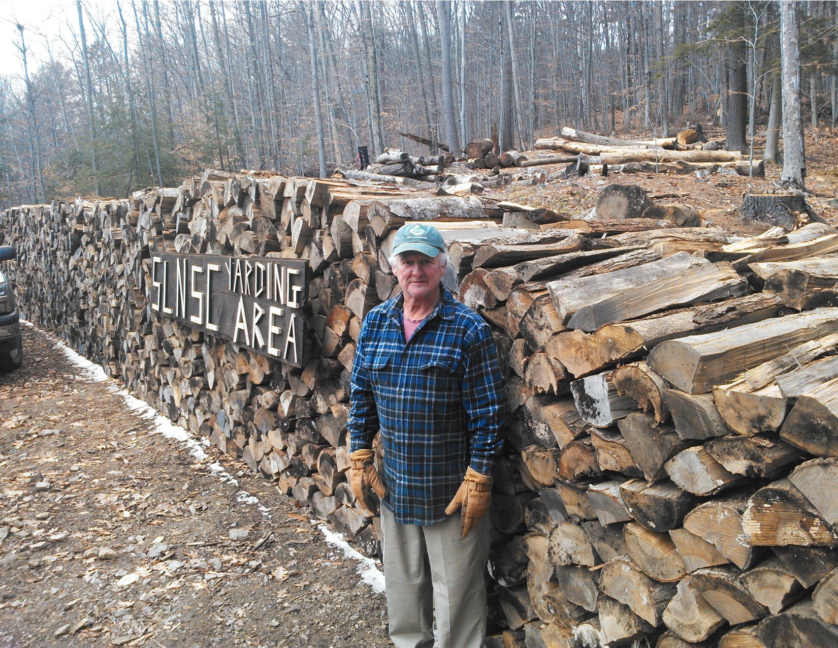 Volunteer in the woodlot.